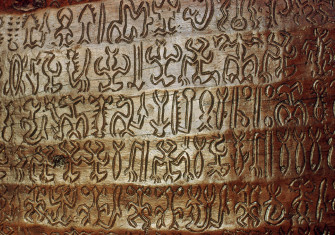 ‘Strange hieroglyphs’: rongorongo inscription, Easter Island. George Holton/Science Photo Library